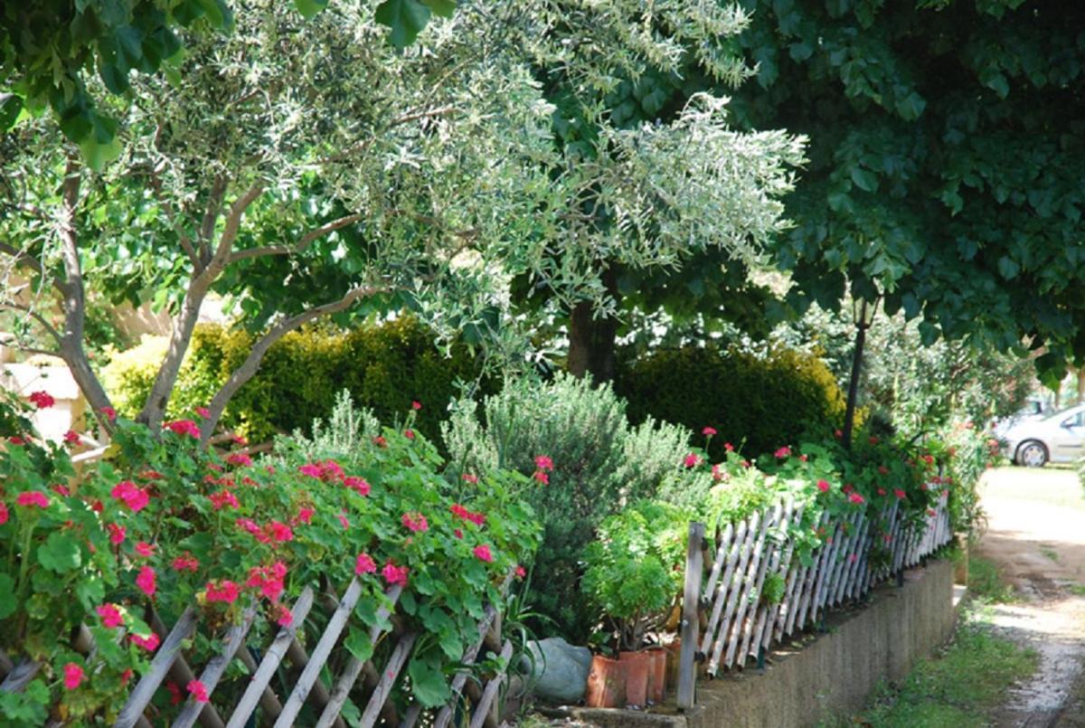 Villa Costa Di Sognu Exterior foto