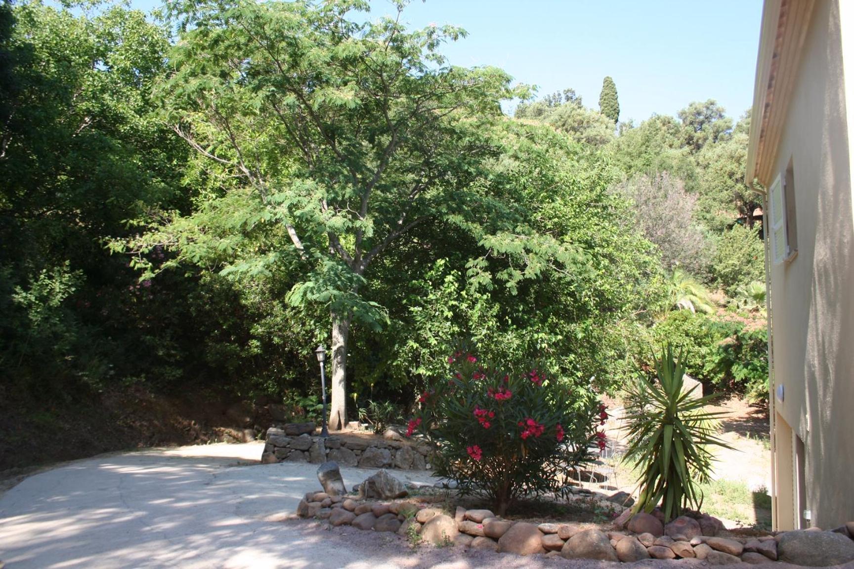 Villa Costa Di Sognu Exterior foto