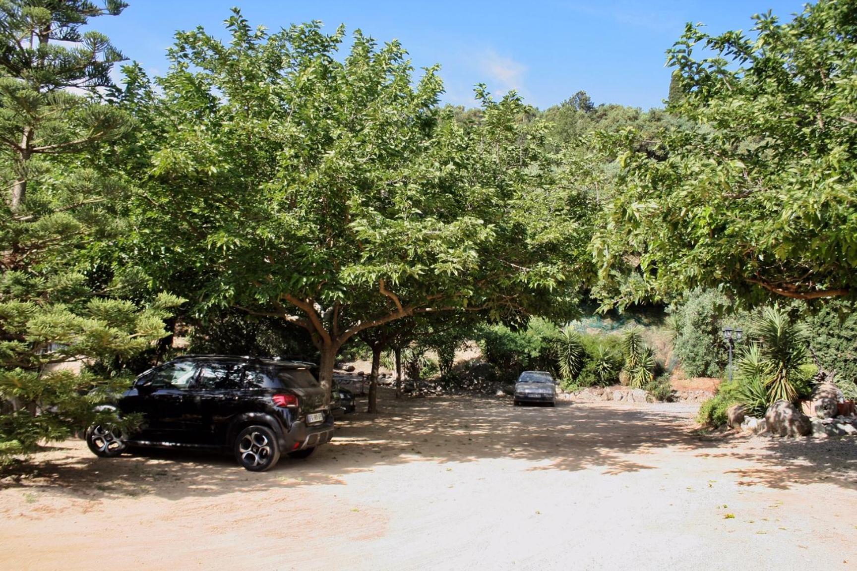 Villa Costa Di Sognu Exterior foto