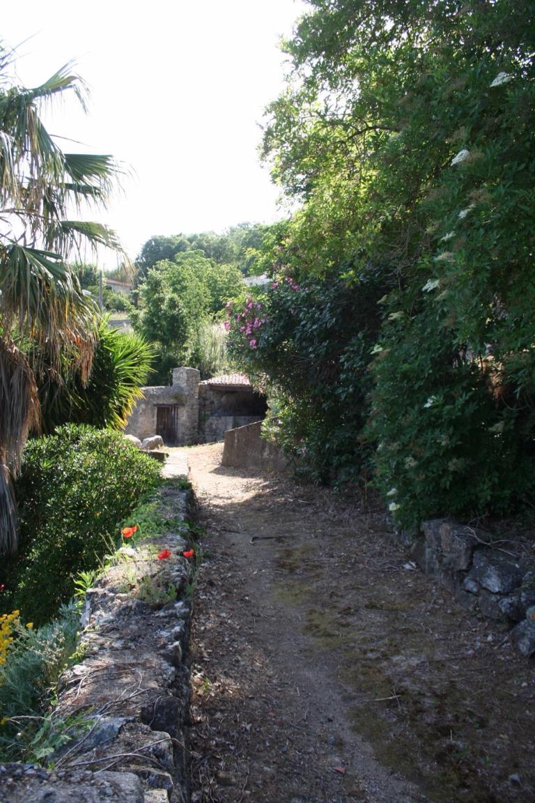 Villa Costa Di Sognu Exterior foto