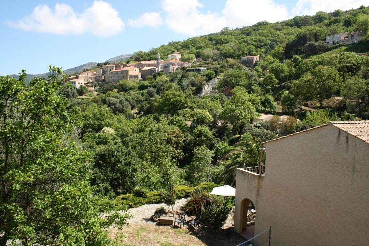 Villa Costa Di Sognu Habitación foto