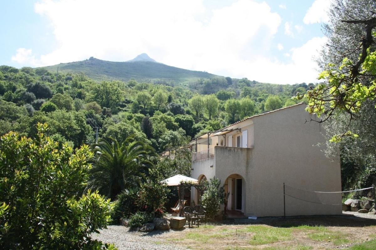 Villa Costa Di Sognu Habitación foto